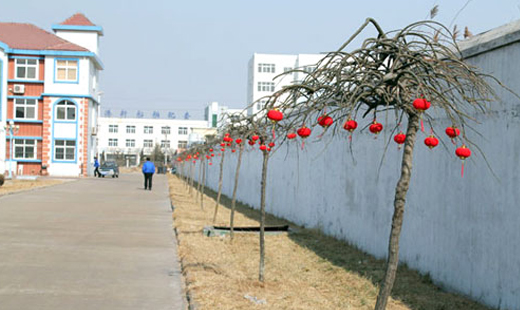 青島華海環(huán)保工業(yè)有限公司張燈結(jié)彩，迎接新春和元宵佳節(jié)