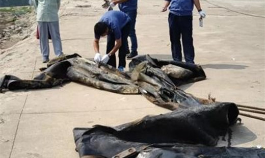 破案了！這就是“三峽水怪”的真面目……