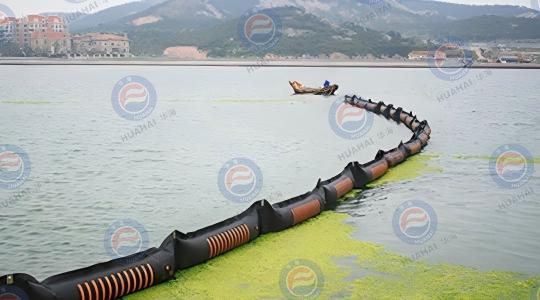 2008年7月，參加青島海域滸苔防治工作