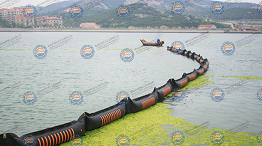 2008年7月，參加青島海域滸苔防治工作